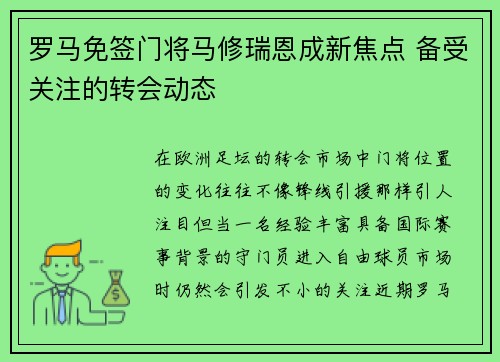 罗马免签门将马修瑞恩成新焦点 备受关注的转会动态